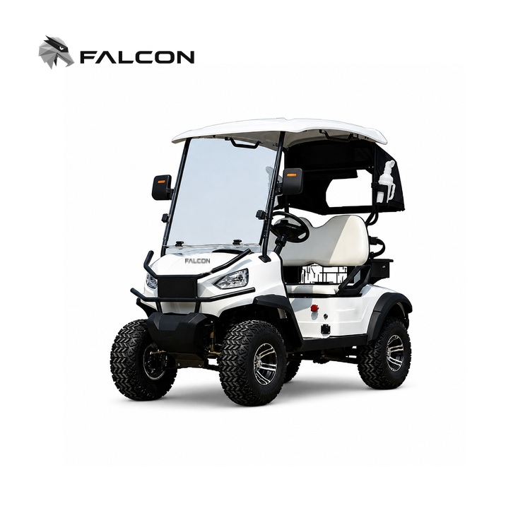 2-seater electric golf cart