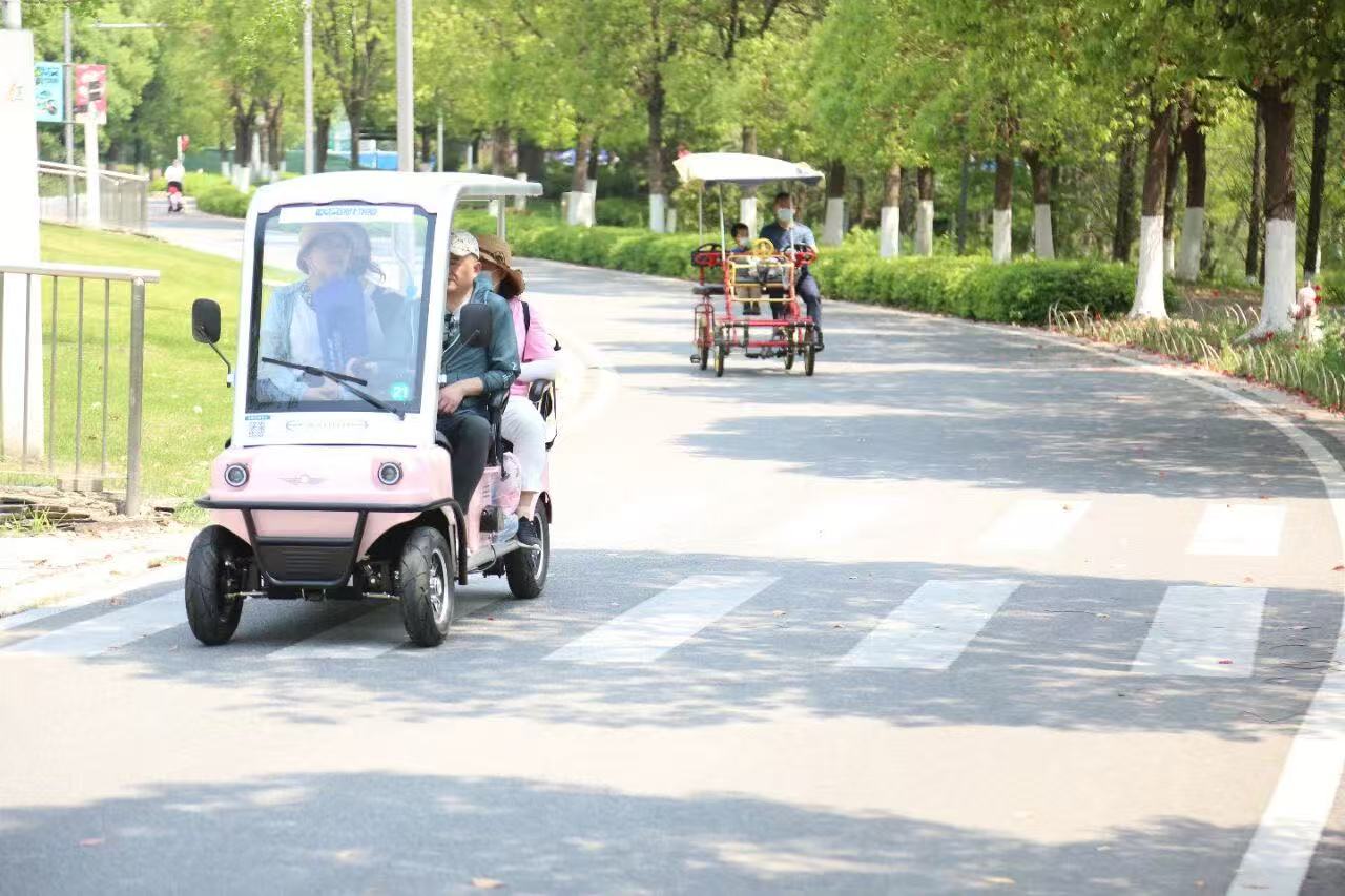 scenic spot rental mobility vehicles,sightseeing vehicle market,smart mobility solutions,electric vehicles for tourist attractions