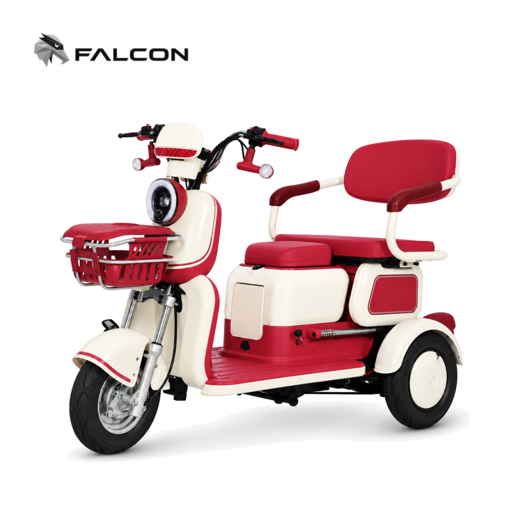 Leisure Electric Passenger Tricycle GG-DP005