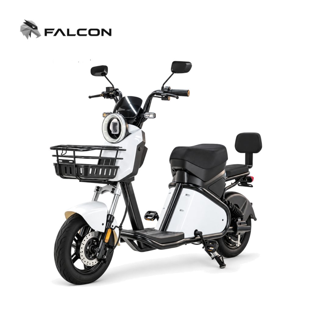 Electric Motorcycle ZR-CP008