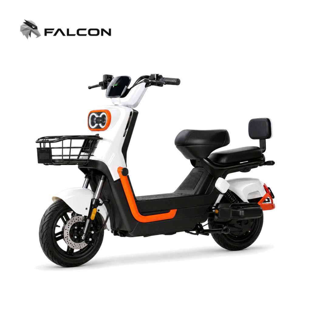 Electric Motorcycle ZR-CP009