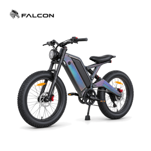 Electric Motorcycle ZX